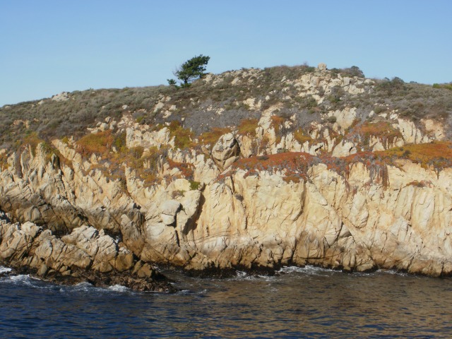 Point Lobos Granite Point